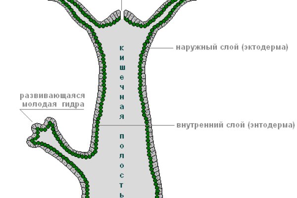 Как восстановить аккаунт кракен