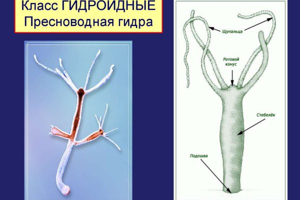 Кракен даркен